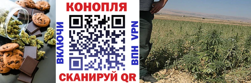 Cannafood марихуана  продажа наркотиков  KRAKEN ССЫЛКА  Бирск 