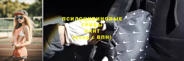 ГАЛЛЮЦИНОГЕННЫЕ ГРИБЫ Арсеньев