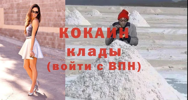 ГАЛЛЮЦИНОГЕННЫЕ ГРИБЫ Арсеньев