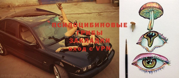 ГАЛЛЮЦИНОГЕННЫЕ ГРИБЫ Арсеньев