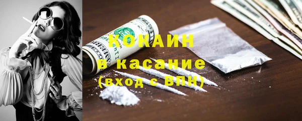 ГАЛЛЮЦИНОГЕННЫЕ ГРИБЫ Арсеньев